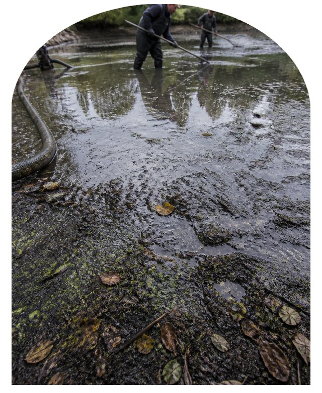 Очистка пруда в Армавире от ила мусора и водорослей с вывозом